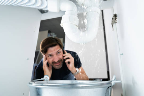 Best Residential Plumbing Services  in Henry, IL